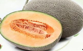 吃哈密瓜瘙痒,揭秘过敏背后的真相