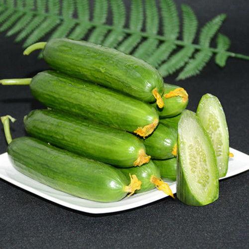 刺瓜水果怎么吃,刺瓜水果的多样食用方法探索