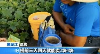 快穿噶噶吃瓜,噶噶吃瓜,解锁无尽奇幻之旅