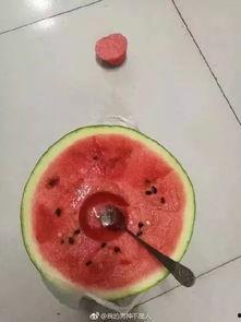 过生日可以吃瓜吗,瓜果飘香，共享欢乐时光