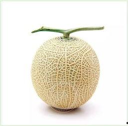 侯王吃瓜,揭秘宫廷中的闲情逸致