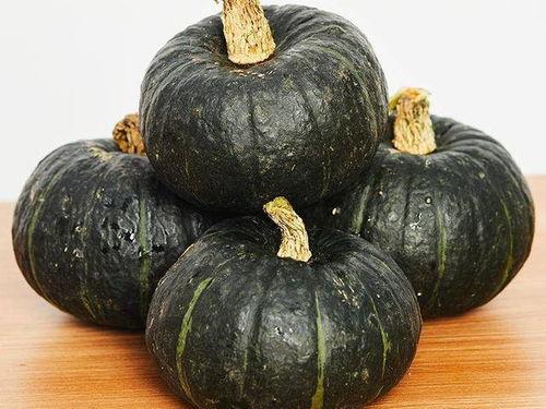 宝宝吃茄瓜好吗,茄瓜的营养价值与食用指南