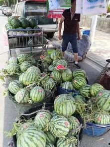 文安2 1吃瓜事件,揭秘网络谣言背后的真相