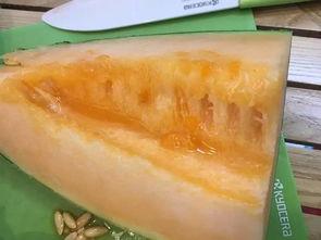 伽师瓜怎么吃最好吃,解锁最佳食用秘诀