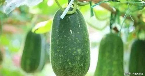 7月最新吃瓜,娱乐圈最新爆料大盘点