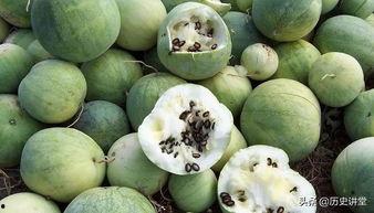 吃瓜群众磕瓜子,吃瓜群众磕瓜子的欢乐时光