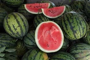 吃瓜抢福袋,一场别开生面的吃瓜盛宴