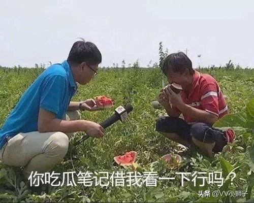 69吃瓜,揭秘娱乐圈那些不为人知的幕后故事