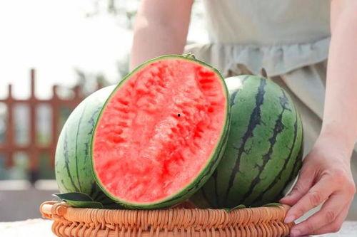 吃瓜网可以进吗,轻松一搜，尽享娱乐盛宴