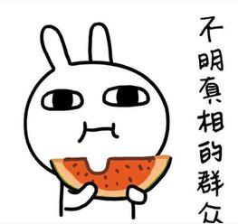 笑笑吃瓜全文阅读,一场爆笑的娱乐圈风云