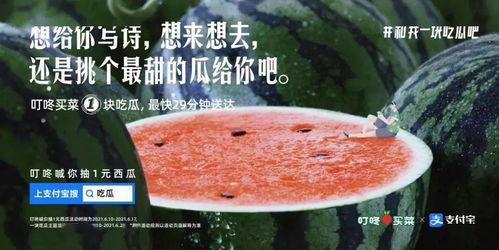 半夜吃瓜文案,揭秘那些不为人知的幕后故事