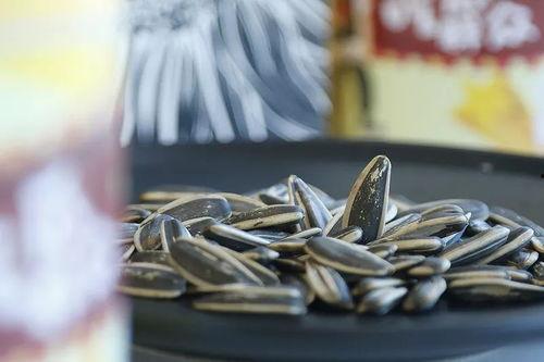 吃瓜走天涯,探寻人间烟火，品味世间百态