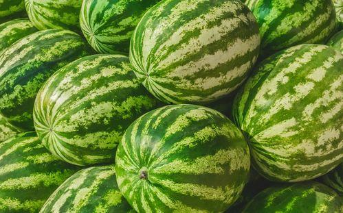 在哪吃新鲜瓜,揭秘各地新鲜瓜果的美食天堂