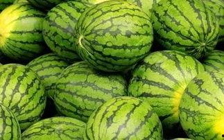 吃瓜群众的瓜是哪个瓜,探寻网络热词背后的故事