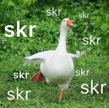 swag 吃瓜,揭秘“吃瓜群众”背后的SWAG文化现象