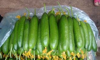 吃瓜有损健康,警惕这些风险