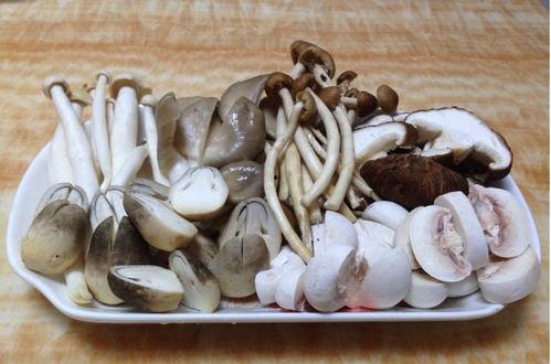 蘑菇今日吃瓜爆料,揭秘娱乐圈最新热点事件