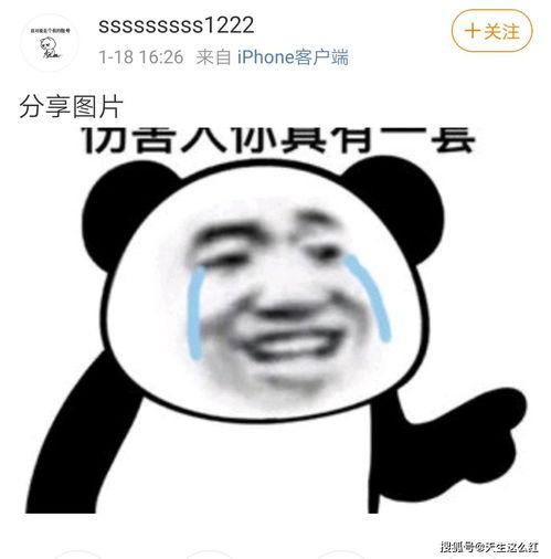 我带球就跑真刺激txt吃瓜的瓜,一场刺激的足球与吃瓜之旅